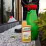 Roundup natuurlijk onkruidvrij concentraat 520 ml